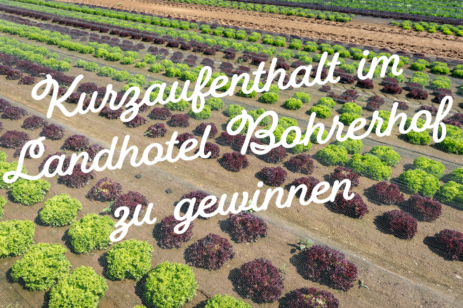 Magazin der Süddeutschen Zeitung - Gemütlich im Gemüsefeld Gewinnspiel (ESS: 20.06.2024 um 16:59 Uhr)